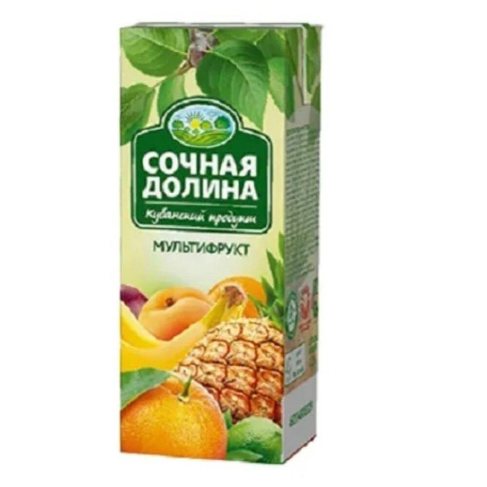 Сочная Долина сок Мультифрукт 0,2л