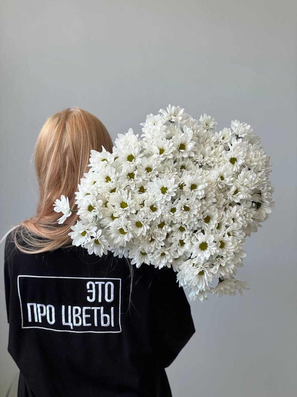 Хризантема ромашковая