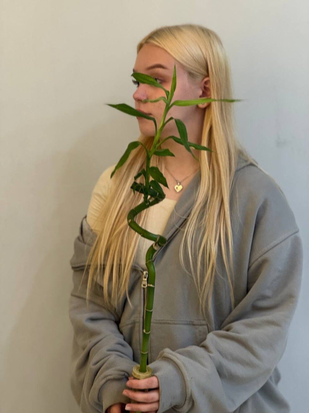 Бамбук