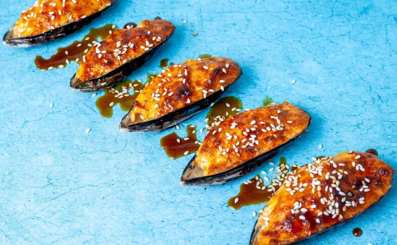 Мидии ракушки