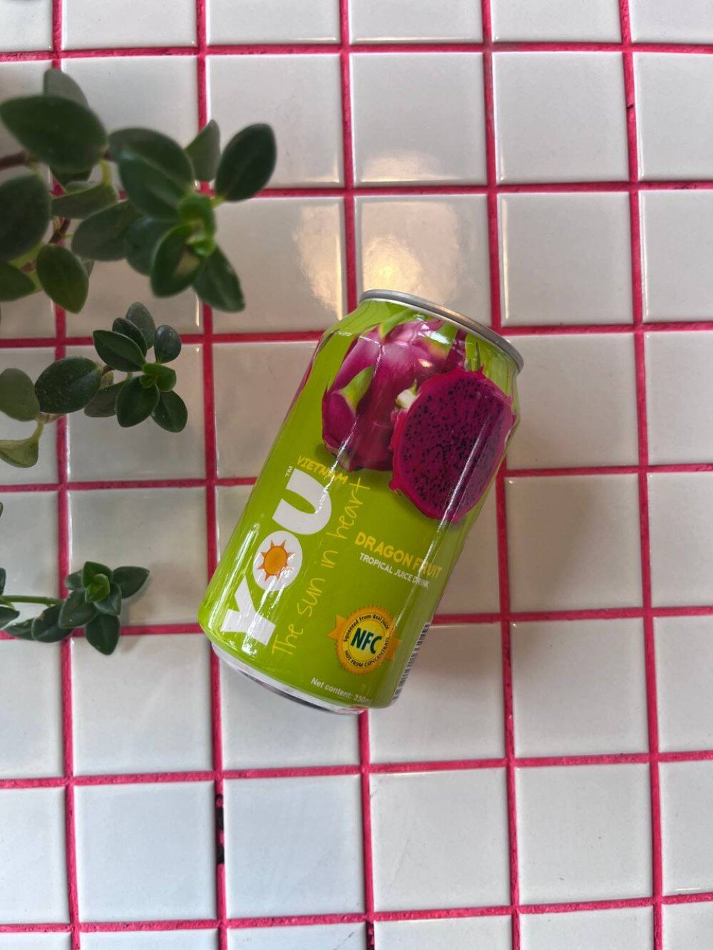 Винат Драгонфрут