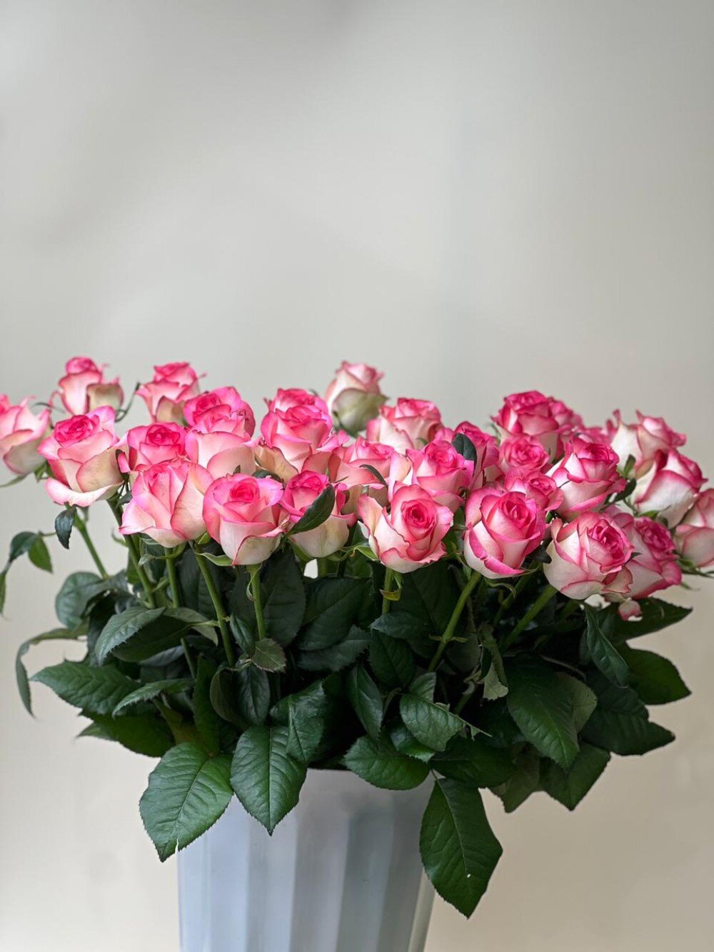 Джумилия 70см